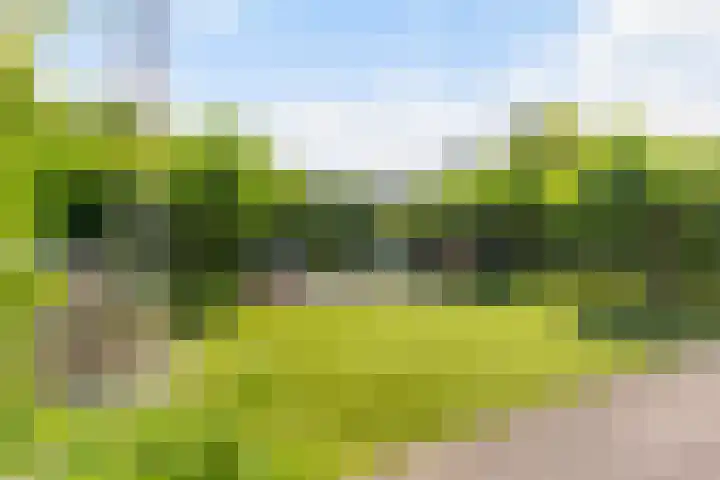 Lage Landenlaan 56 Apeldoorn thumbnail 38
