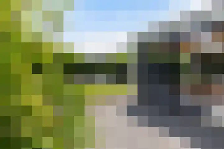 Lage Landenlaan 56 Apeldoorn thumbnail 39