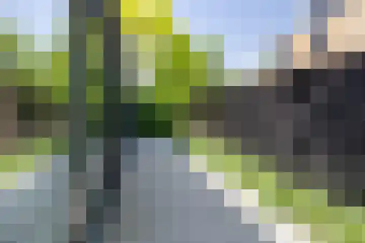 Lage Landenlaan 56 Apeldoorn thumbnail 40