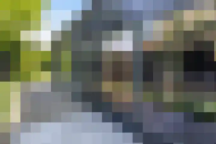 Lage Landenlaan 56 Apeldoorn thumbnail 41