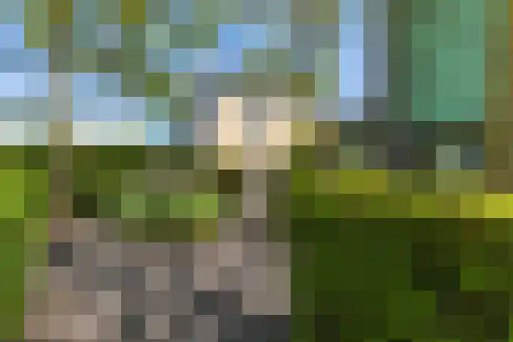 Lage Landenlaan 56 Apeldoorn thumbnail 43