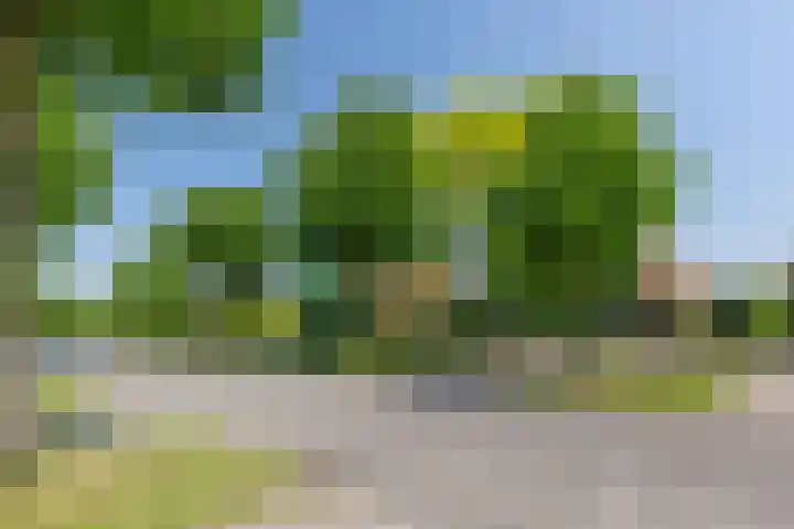 Lage Landenlaan 56 Apeldoorn thumbnail 70