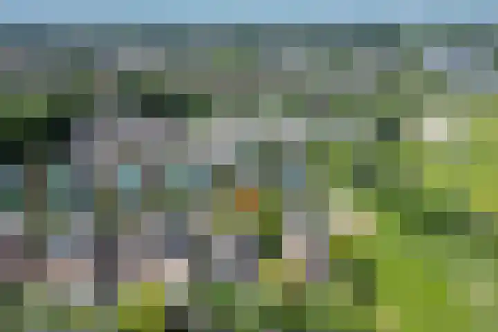 Lage Landenlaan 56 Apeldoorn thumbnail 72