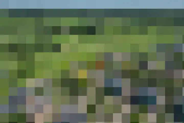 Lage Landenlaan 56 Apeldoorn thumbnail 73