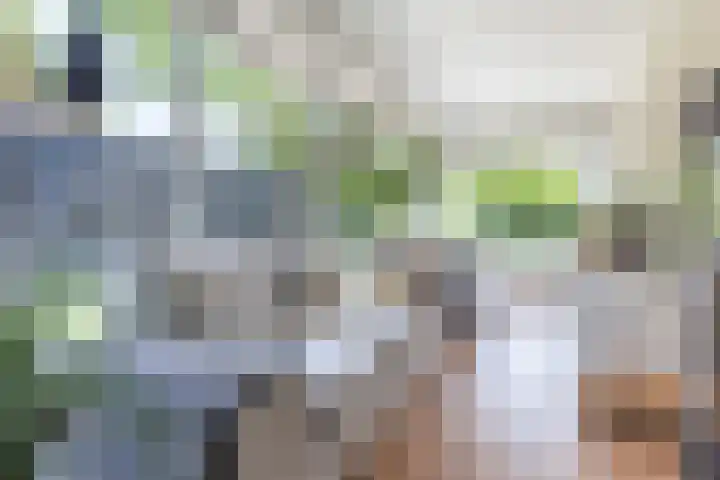 Lage Landenlaan 56 Apeldoorn thumbnail 9