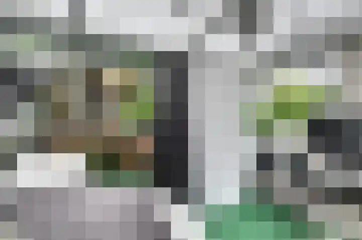 Lage Lei 19 Arcen thumbnail 16