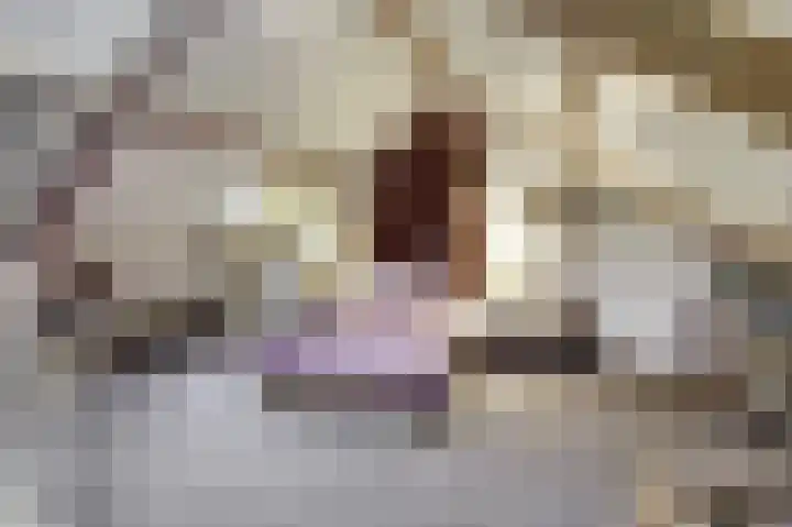 Lage Lei 19 Arcen thumbnail 28