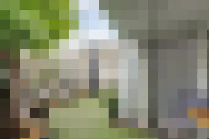 Lage Lei 19 Arcen thumbnail 33