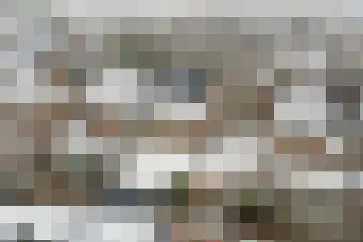 Lage Lei 19 Arcen thumbnail 38