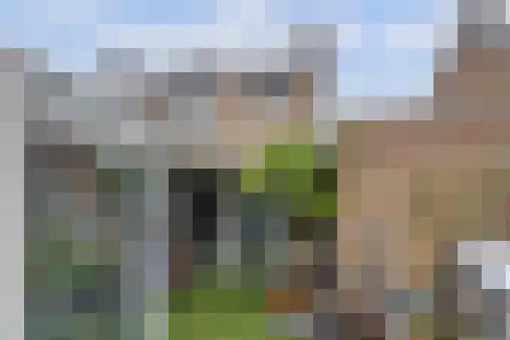 Lage Lei 19 Arcen thumbnail 4