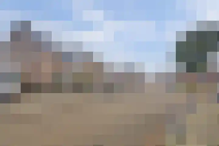 Lage Lei 19 Arcen thumbnail 40