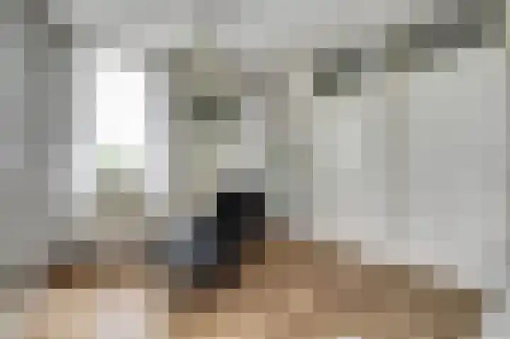 Lage Lei 19 Arcen thumbnail 41