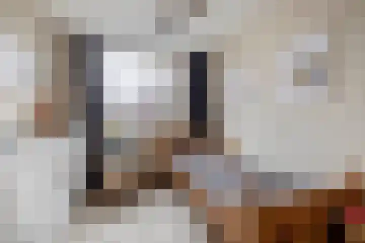 Lage Lei 29 Arcen thumbnail 15