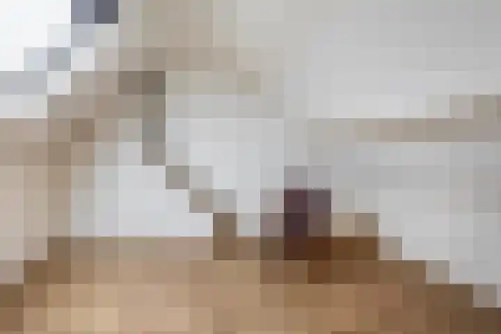 Lage Lei 29 Arcen thumbnail 20