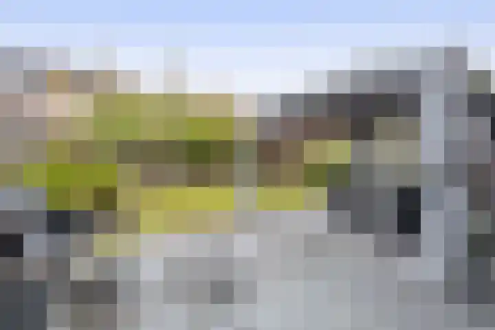 Lage Lei 29 Arcen thumbnail 24