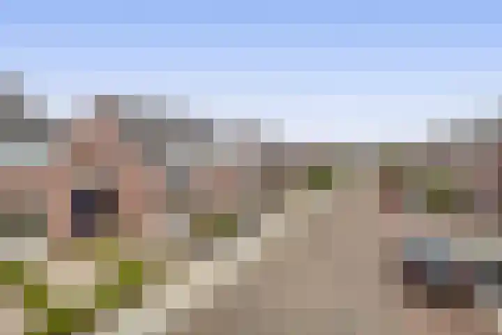 Lage Lei 29 Arcen thumbnail 27