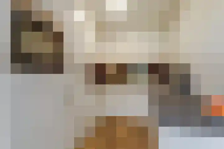 Lage Lei 72 Arcen thumbnail 10