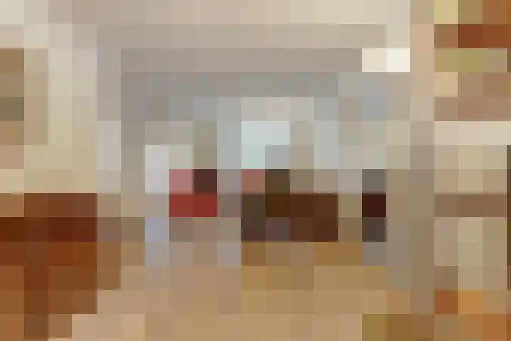 Lage Lei 72 Arcen thumbnail 12