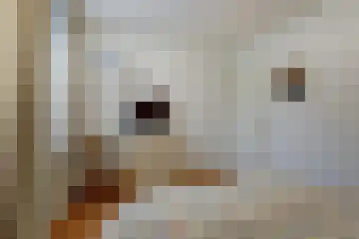 Lage Lei 72 Arcen thumbnail 16