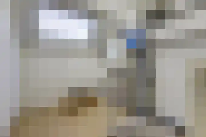 Lage Lei 72 Arcen thumbnail 22