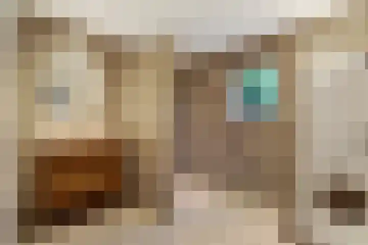 Lage Lei 72 Arcen thumbnail 23