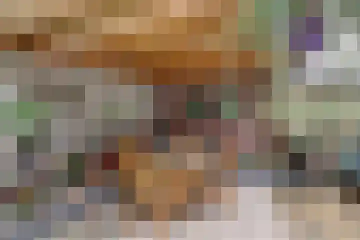 Lage Lei 72 Arcen thumbnail 25