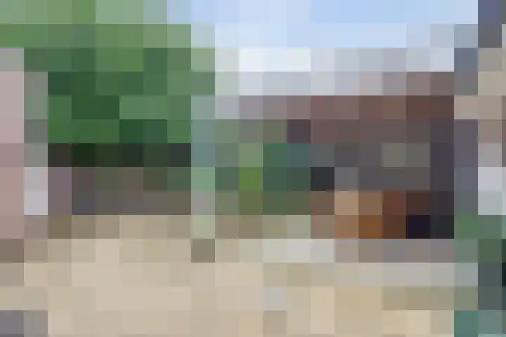 Lage Lei 72 Arcen thumbnail 26