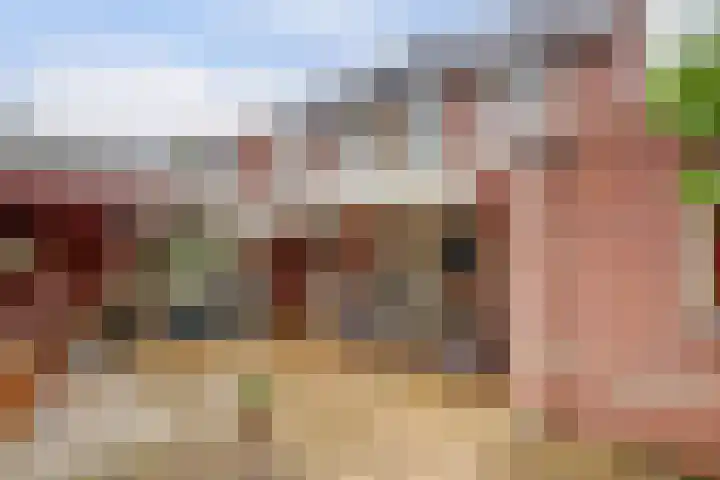 Lage Lei 72 Arcen thumbnail 30