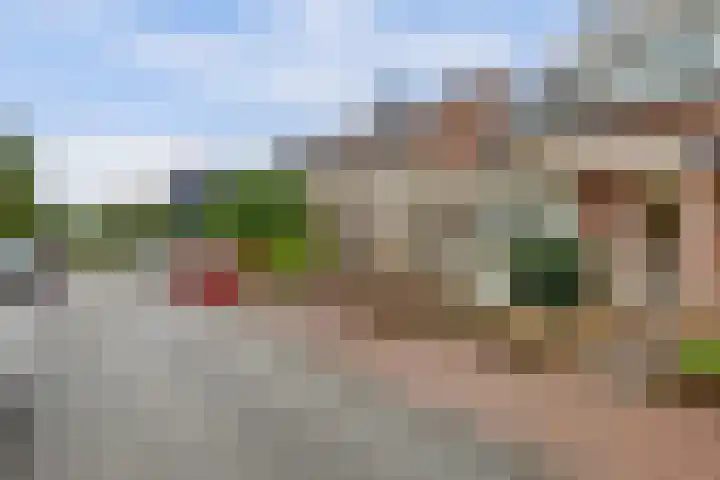 Lage Lei 72 Arcen thumbnail 33