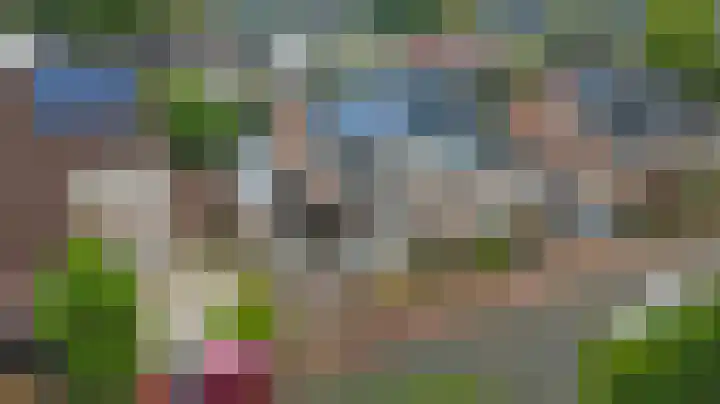 Lage Lei 72 Arcen thumbnail 35