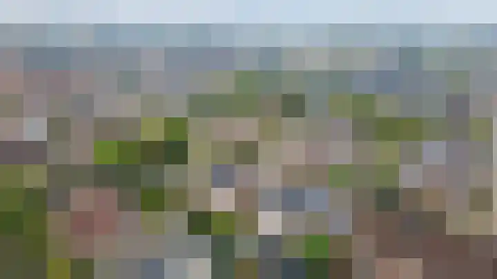 Lage Lei 72 Arcen thumbnail 39