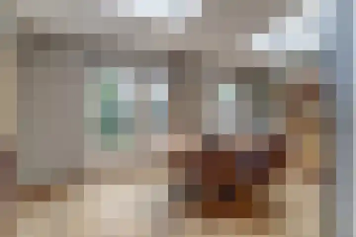Lage Lei 72 Arcen thumbnail 4
