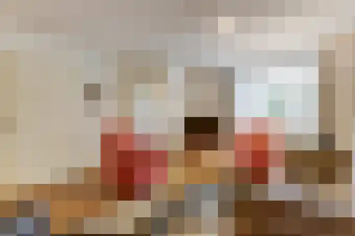 Lage Lei 72 Arcen thumbnail 7