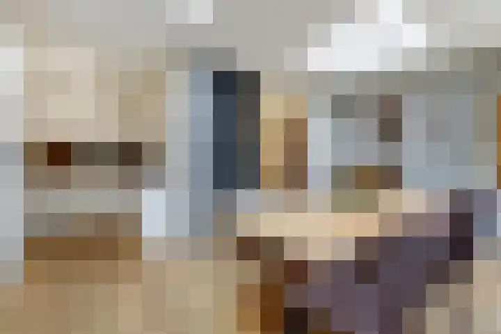 Lage Lei 72 Arcen thumbnail 8