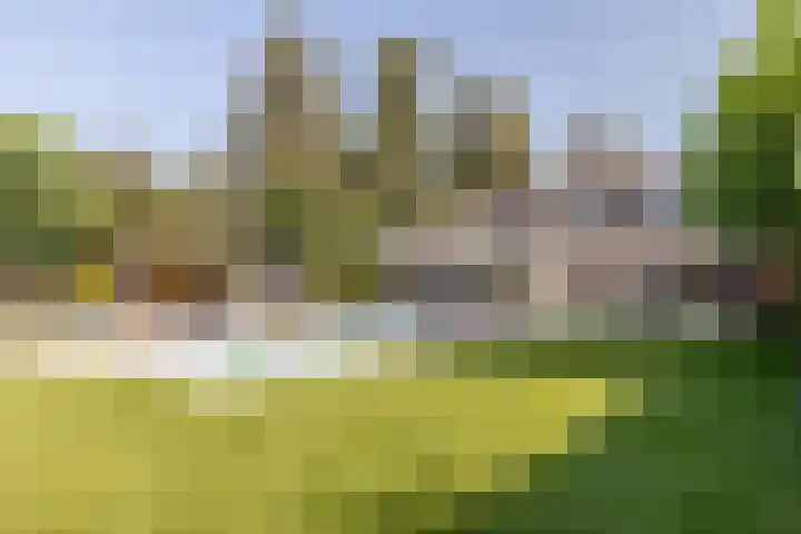 Lage Linie 9 dans Terheijden