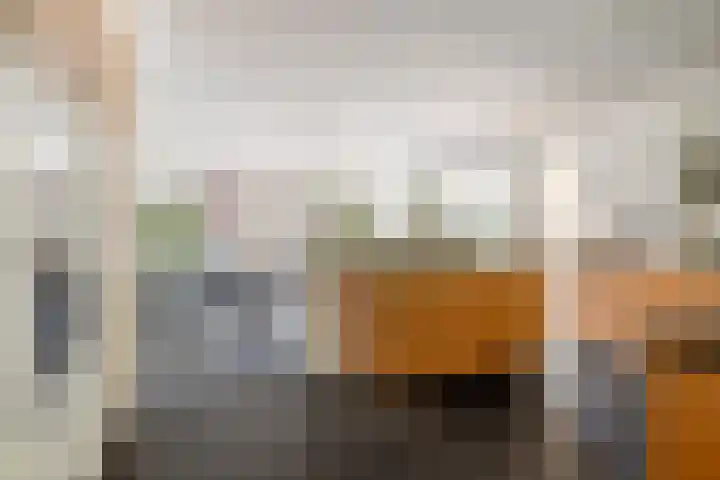 Lage Linie 9 Terheijden thumbnail 10