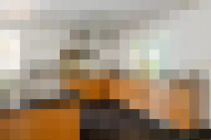 Lage Linie 9 Terheijden thumbnail 11