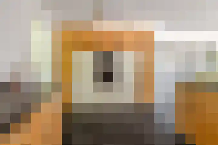 Lage Linie 9 Terheijden thumbnail 12