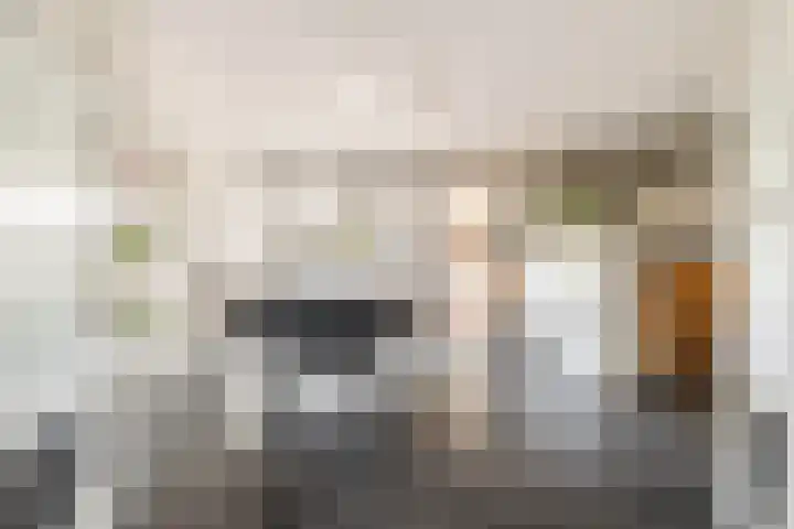 Lage Linie 9 Terheijden thumbnail 13