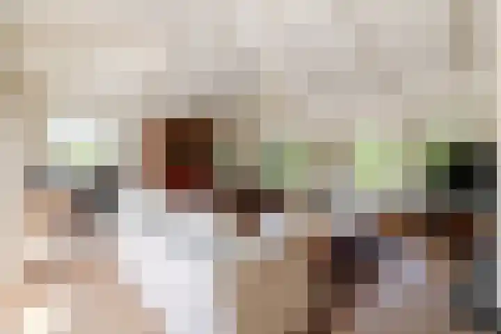 Lage Linie 9 Terheijden thumbnail 15