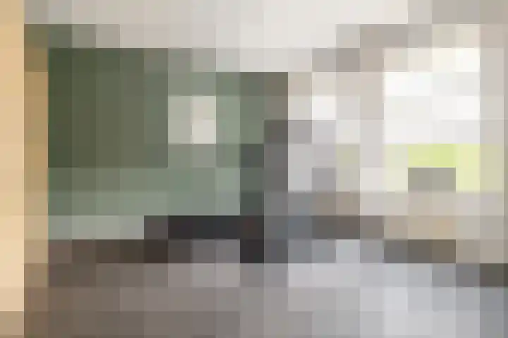 Lage Linie 9 Terheijden thumbnail 19