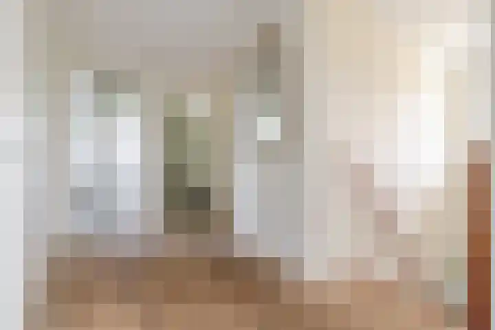 Lage Linie 9 Terheijden thumbnail 22