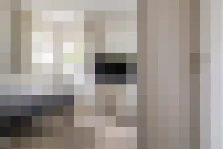 Lage Linie 9 Terheijden thumbnail 26
