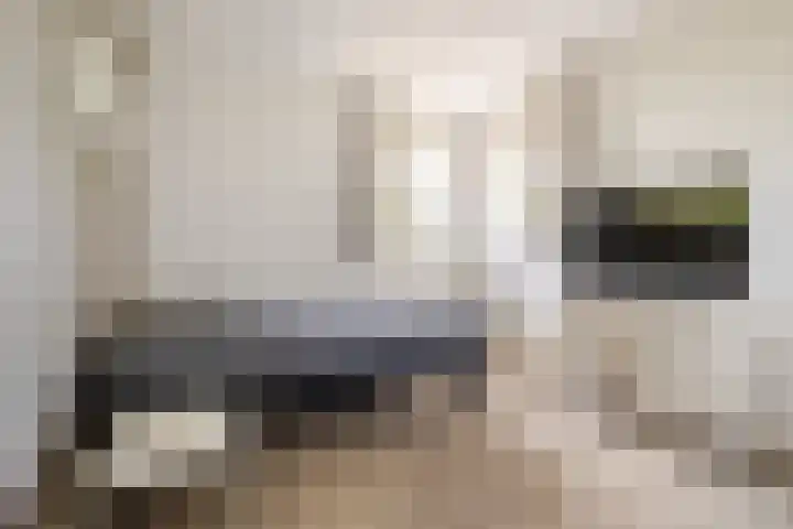 Lage Linie 9 Terheijden thumbnail 27