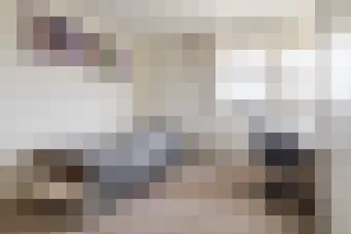 Lage Linie 9 Terheijden thumbnail 28