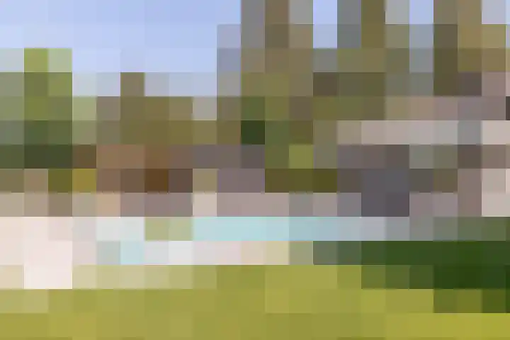 Lage Linie 9 Terheijden foto 3