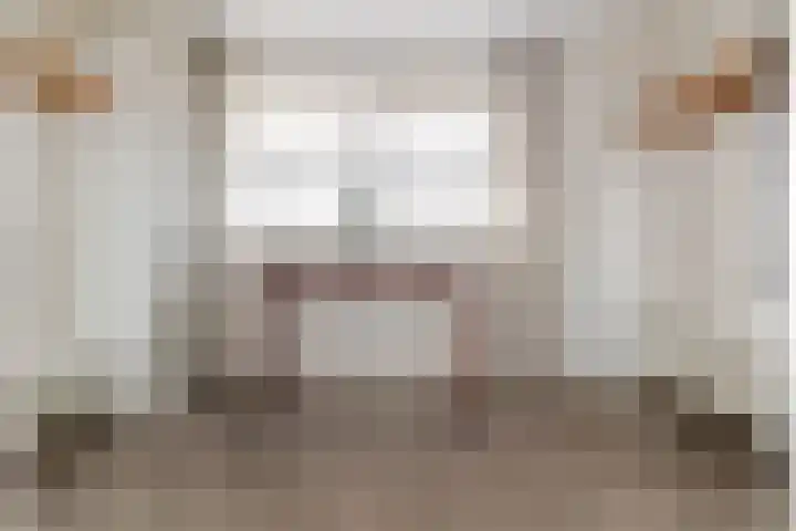 Lage Linie 9 Terheijden thumbnail 32