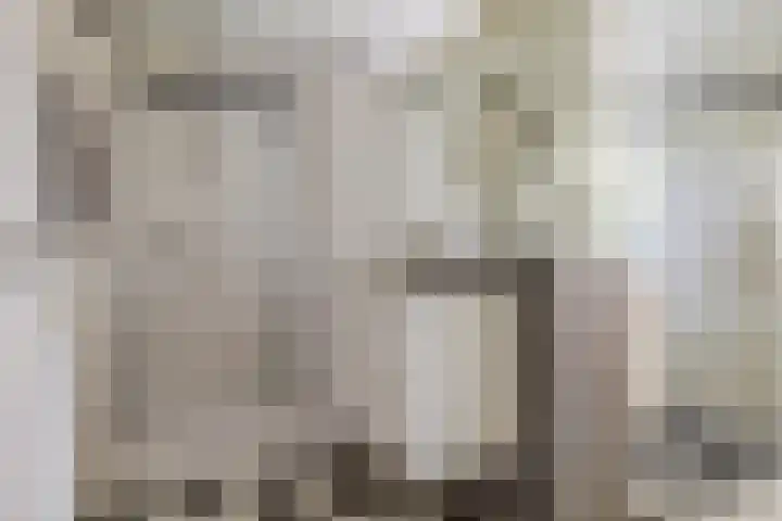 Lage Linie 9 Terheijden thumbnail 33