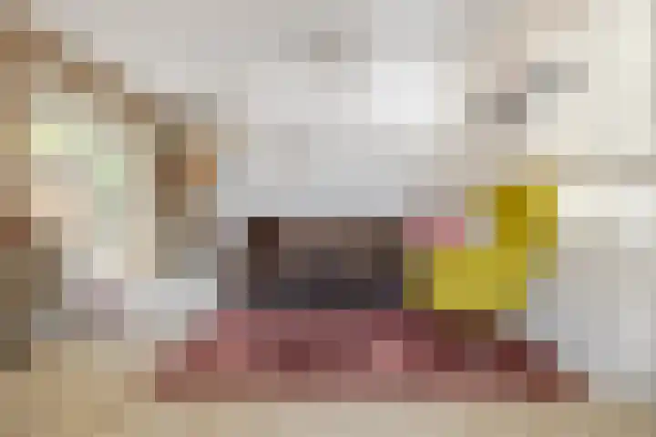 Lage Linie 9 Terheijden thumbnail 39