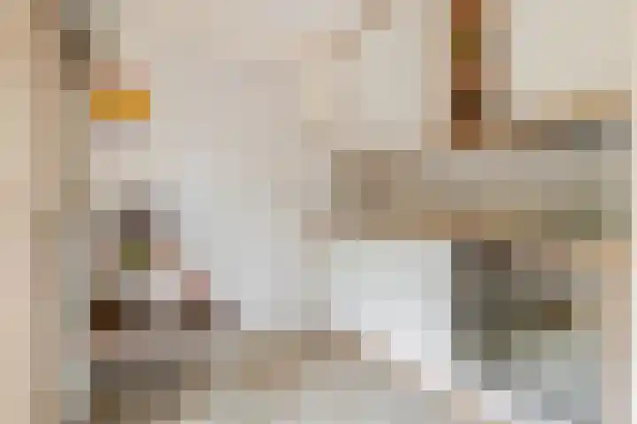Lage Linie 9 Terheijden thumbnail 42